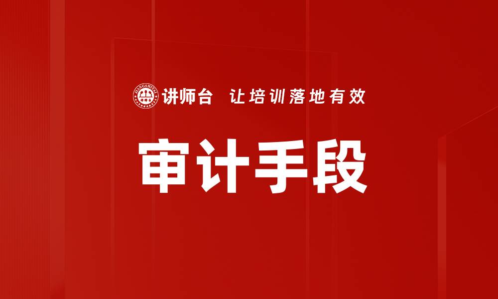 审计手段