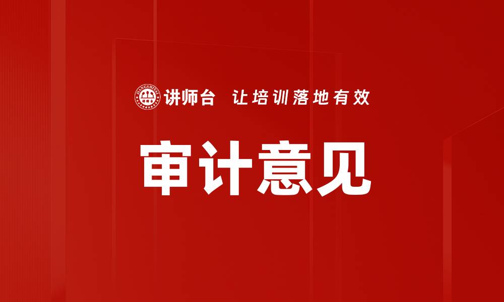 审计意见