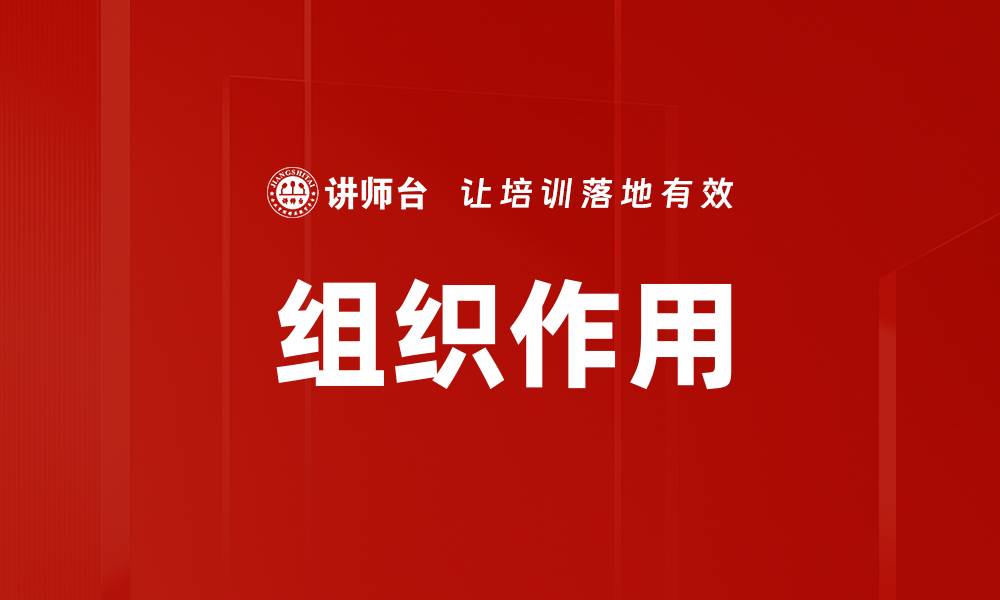 文章组织作用的缩略图