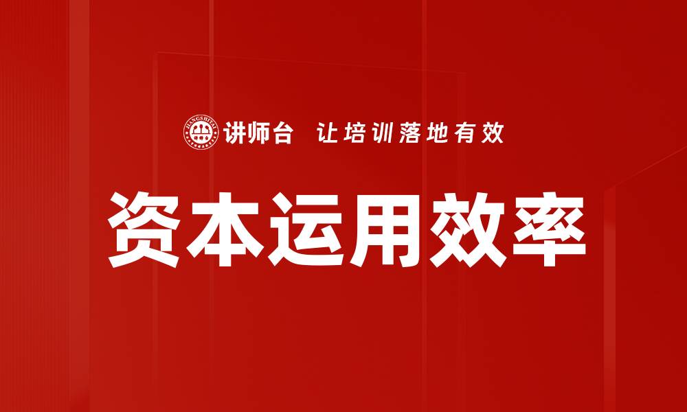文章资本运用效率的缩略图