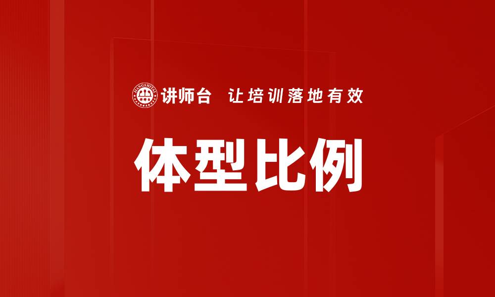 体型比例