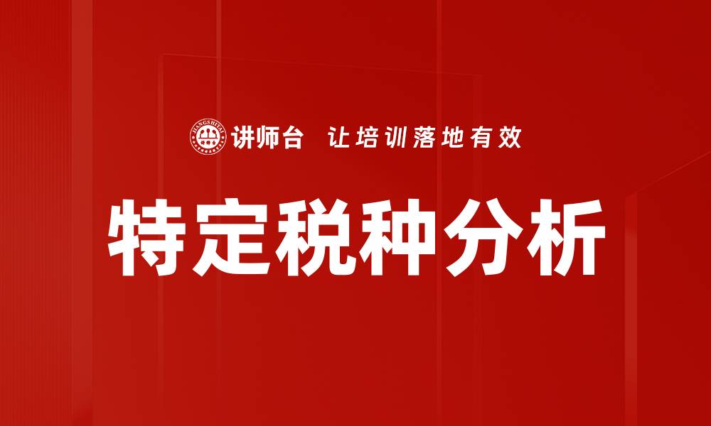 特定税种分析