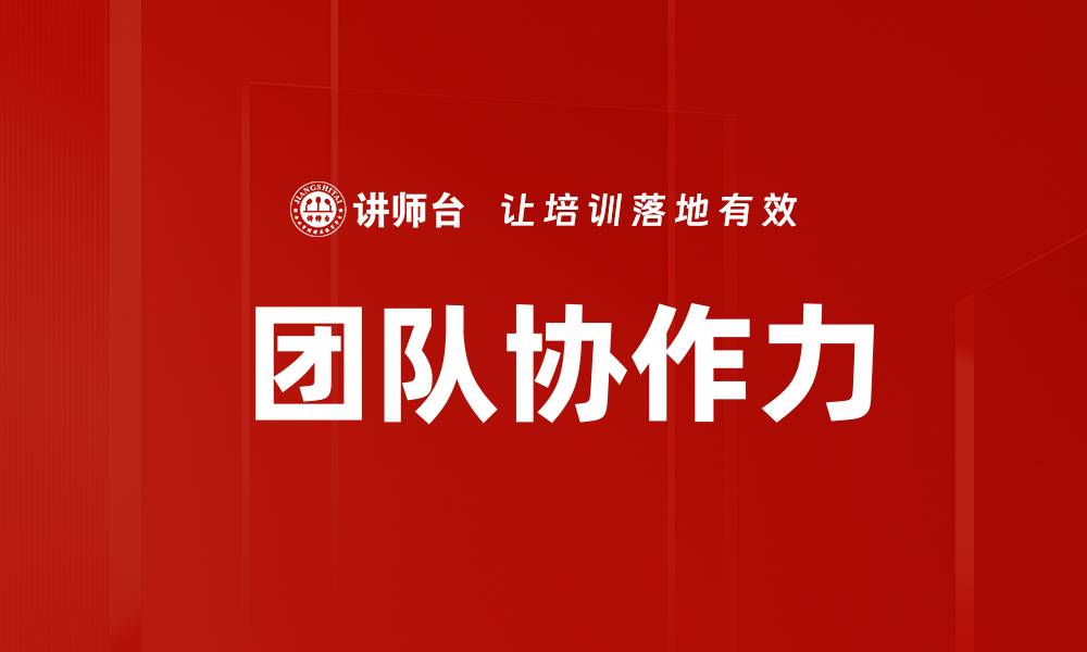  团队协作力