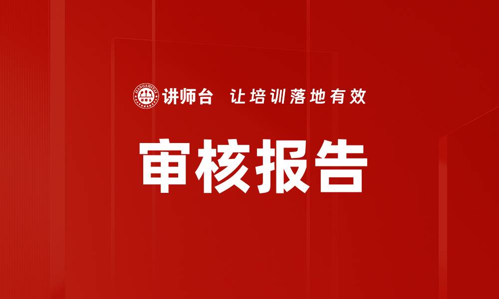 审核报告