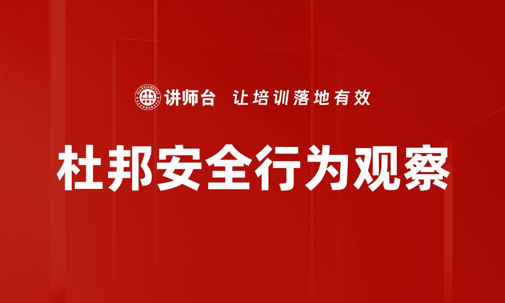 杜邦安全行为观察