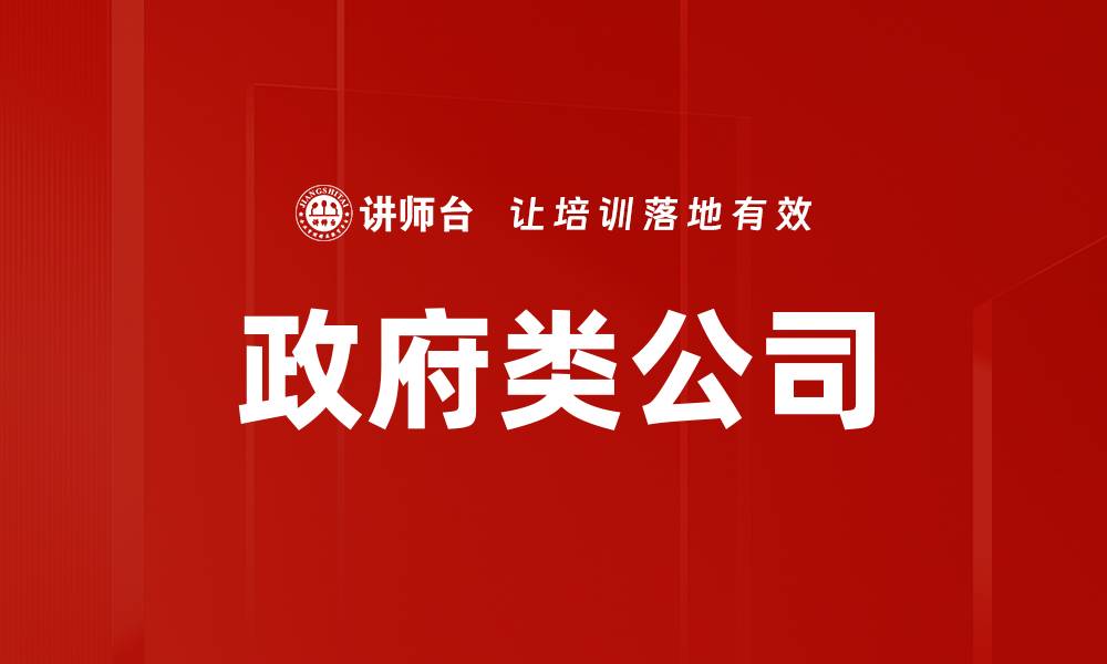 文章政府类公司的缩略图