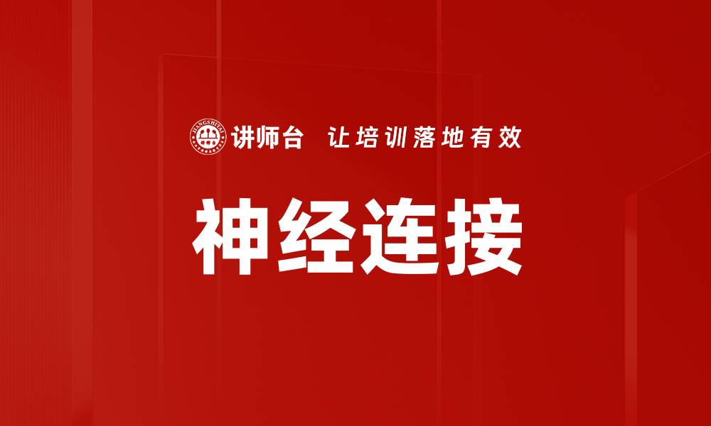 文章神经连接的缩略图