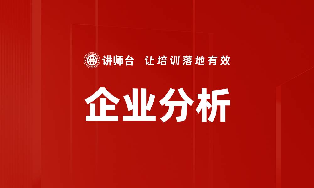 企业分析