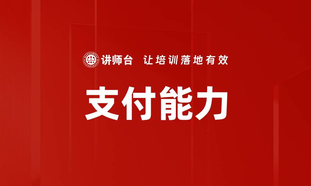 支付能力