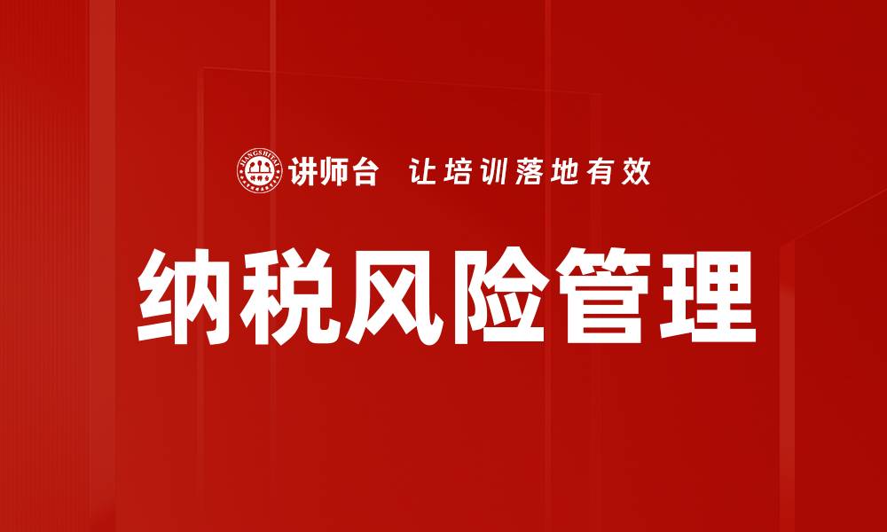 纳税风险管理