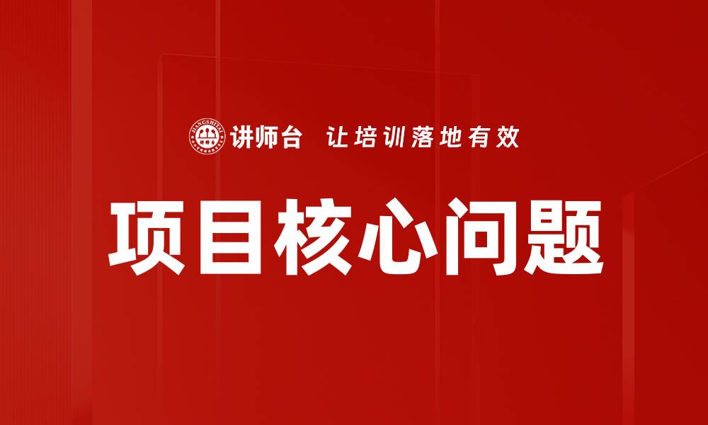 文章项目核心问题的缩略图