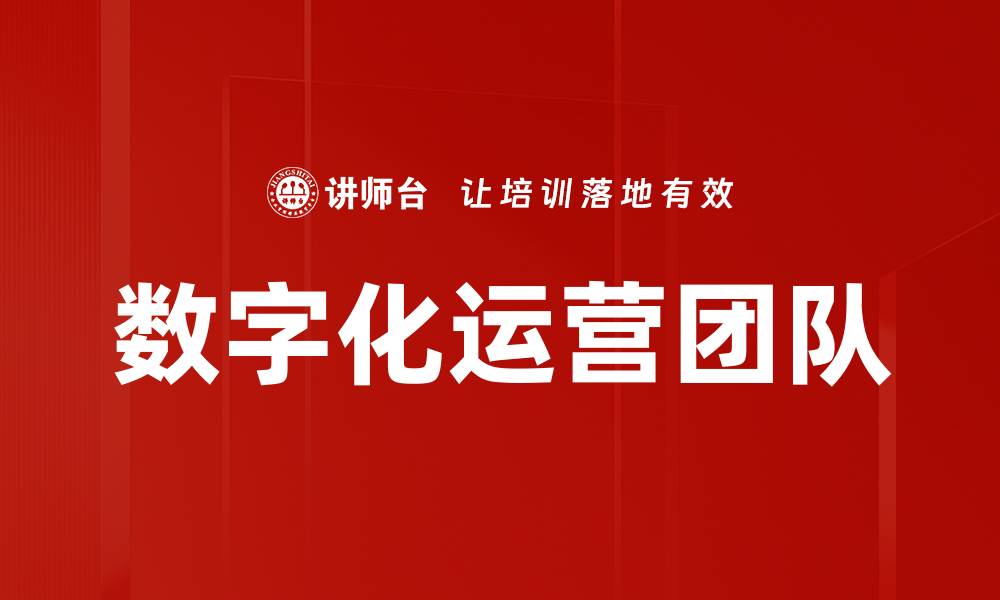 数字化运营团队