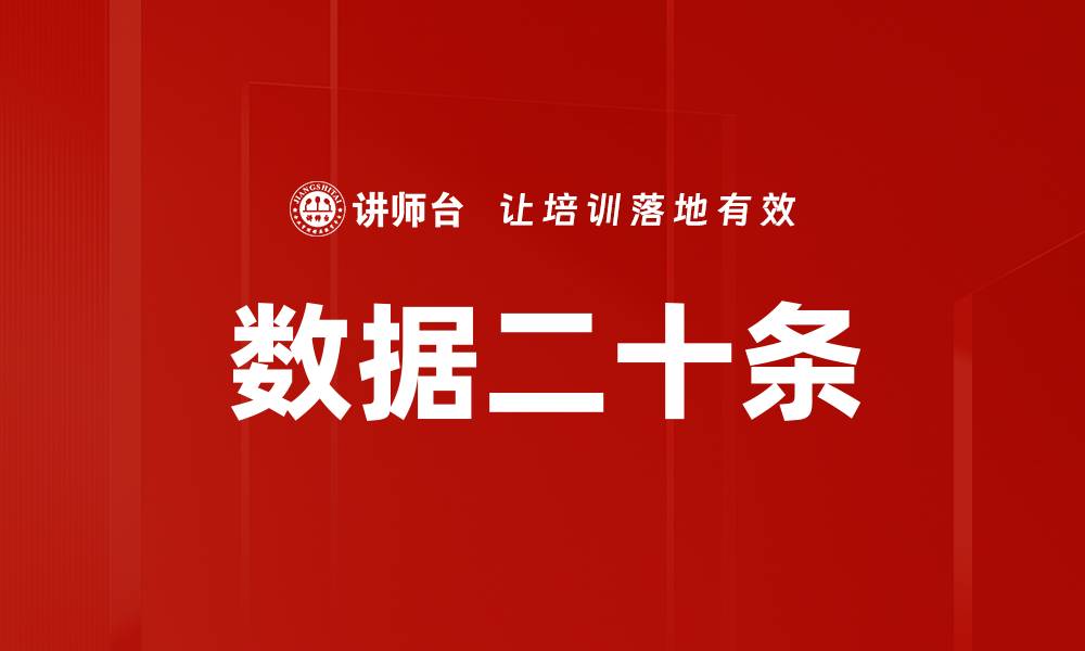 数据二十条