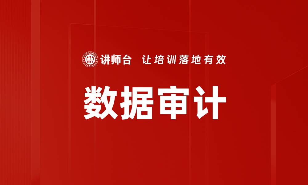 数据审计