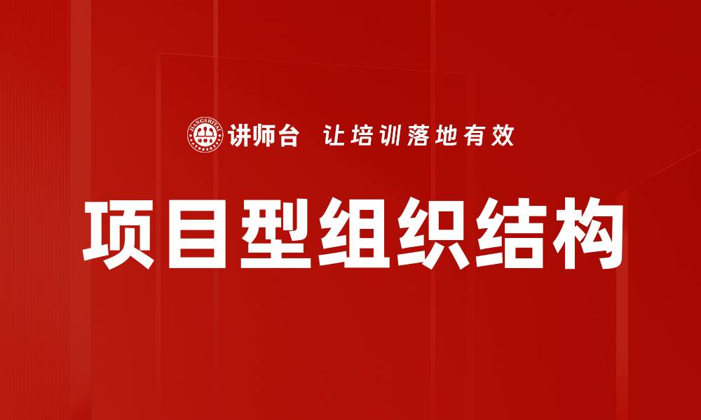 文章项目型组织结构的缩略图