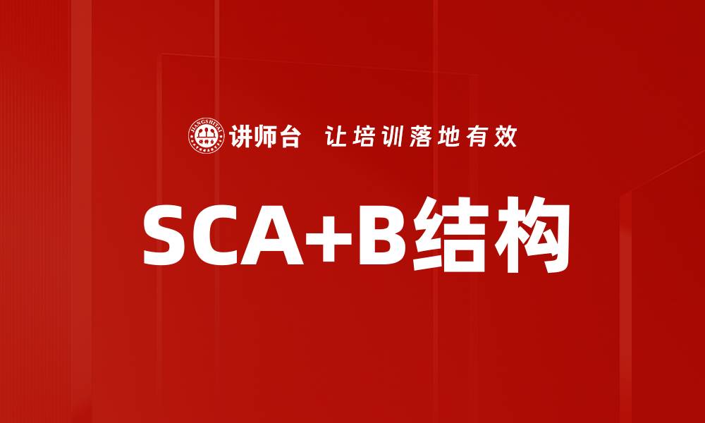 文章SCA+B结构的缩略图