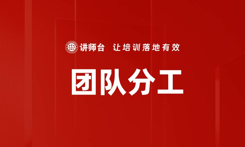  团队分工