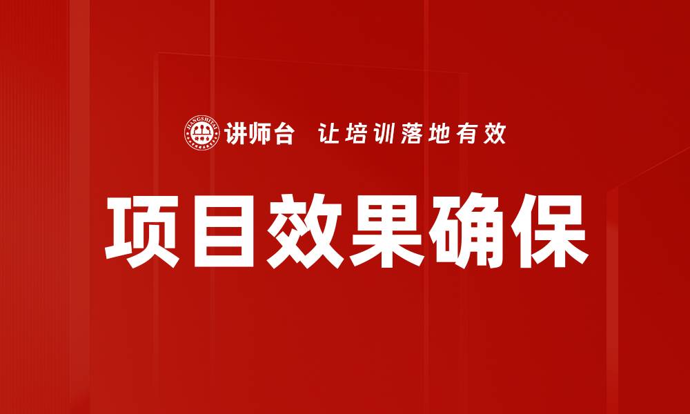 项目效果确保