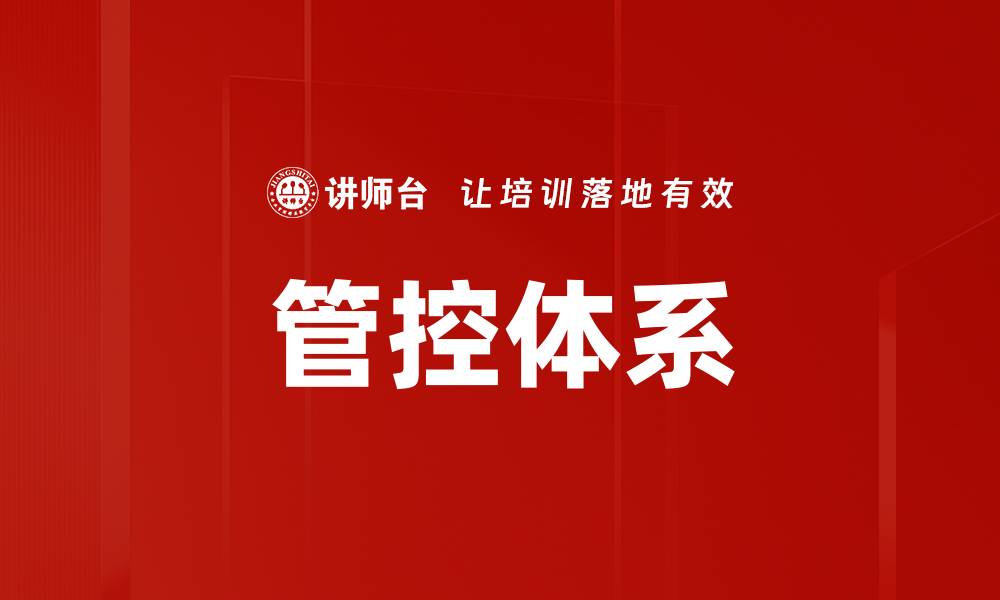 管控体系