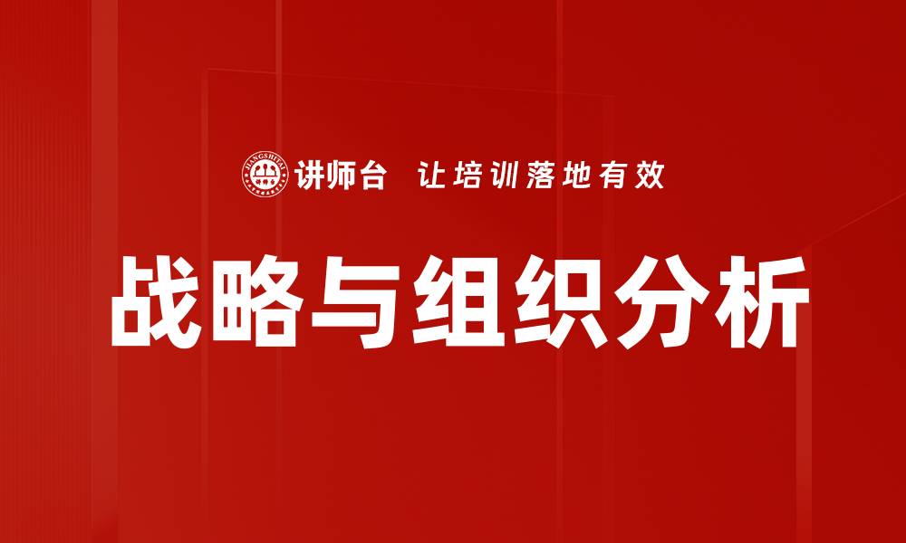 文章战略与组织分析的缩略图