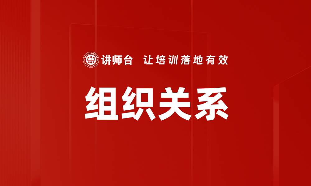 文章组织关系的缩略图