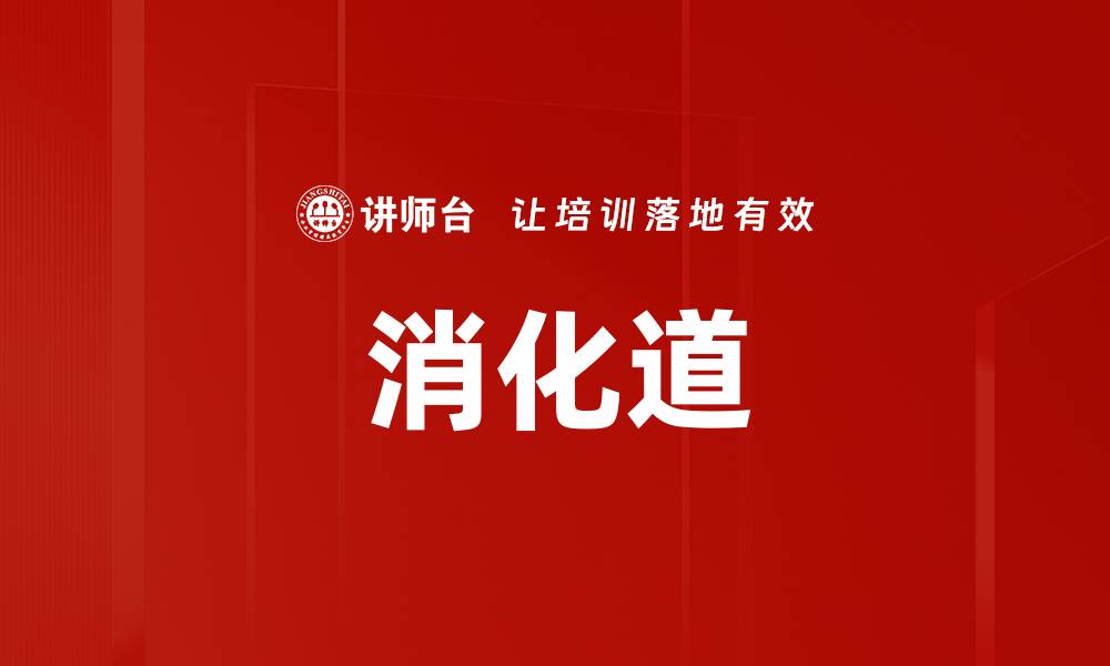 消化道
