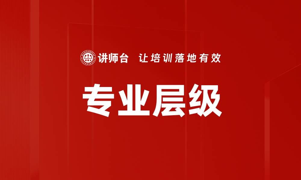 专业层级