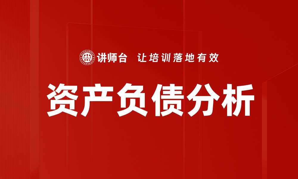 文章资产负债分析的缩略图
