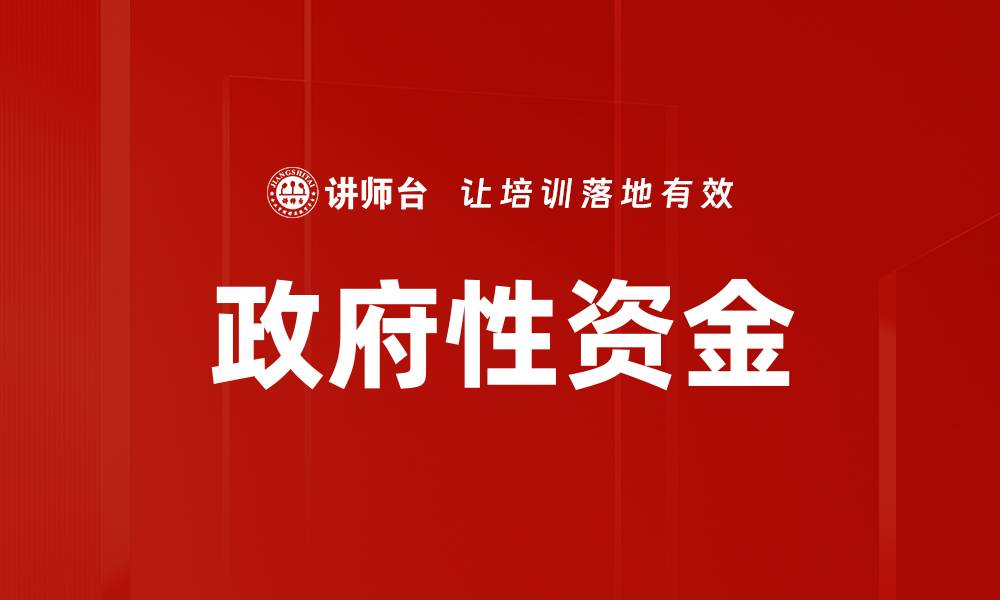 文章政府性资金的缩略图
