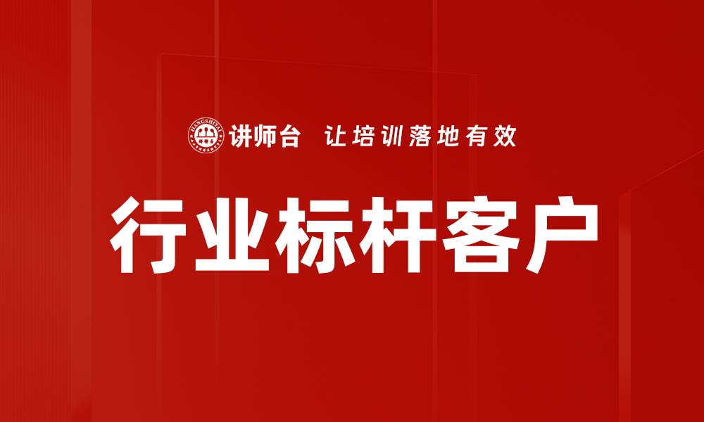 行业标杆客户