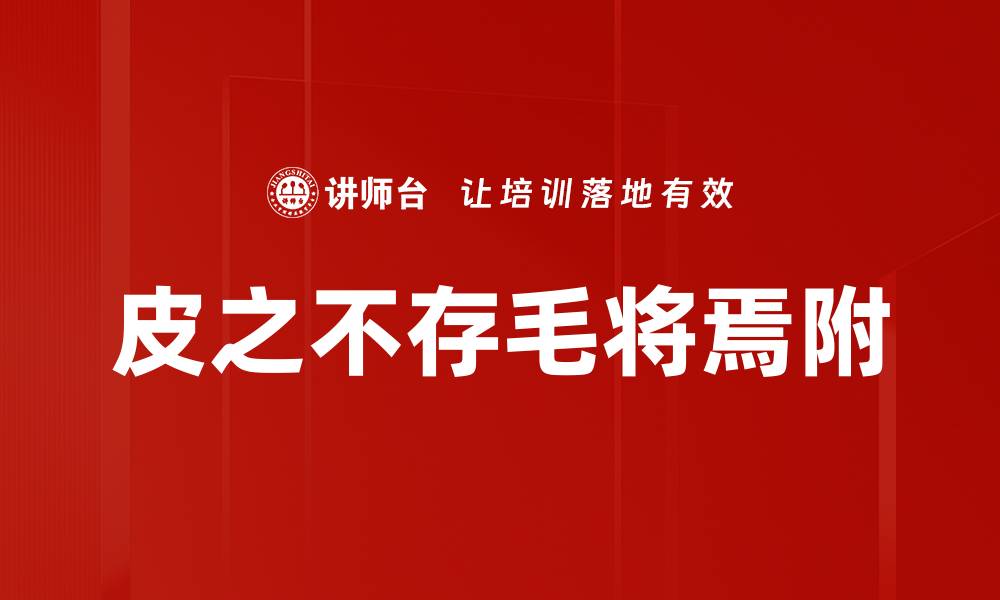 文章皮之不存毛将焉附的缩略图