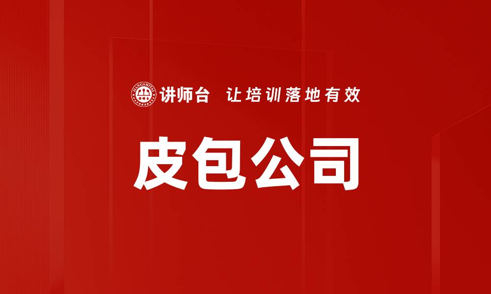 文章皮包公司的缩略图