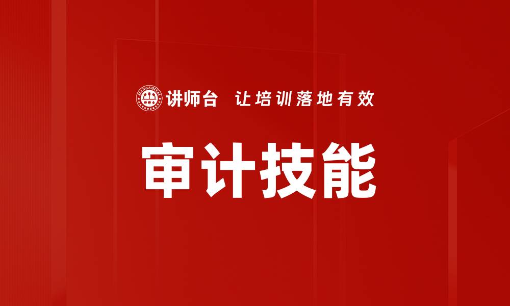 审计技能