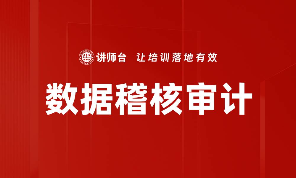 数据稽核审计