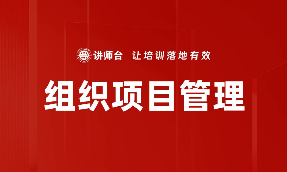 组织项目管理