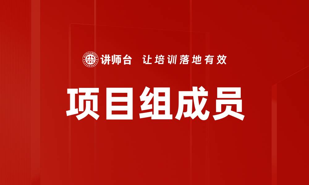 项目组成员