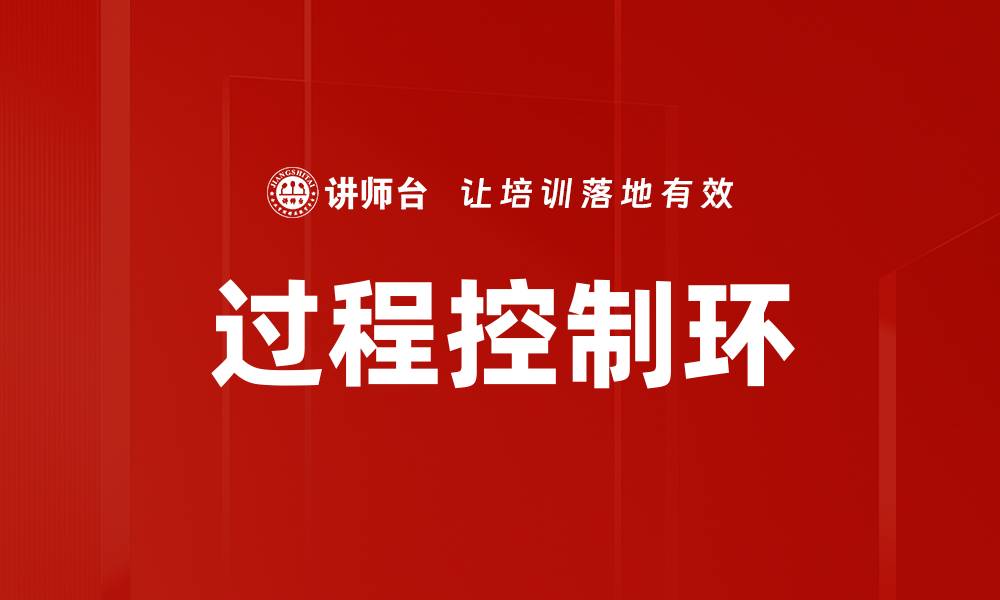 过程控制环