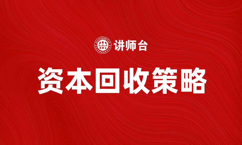 文章资本回收的重要性及实现策略解析的缩略图