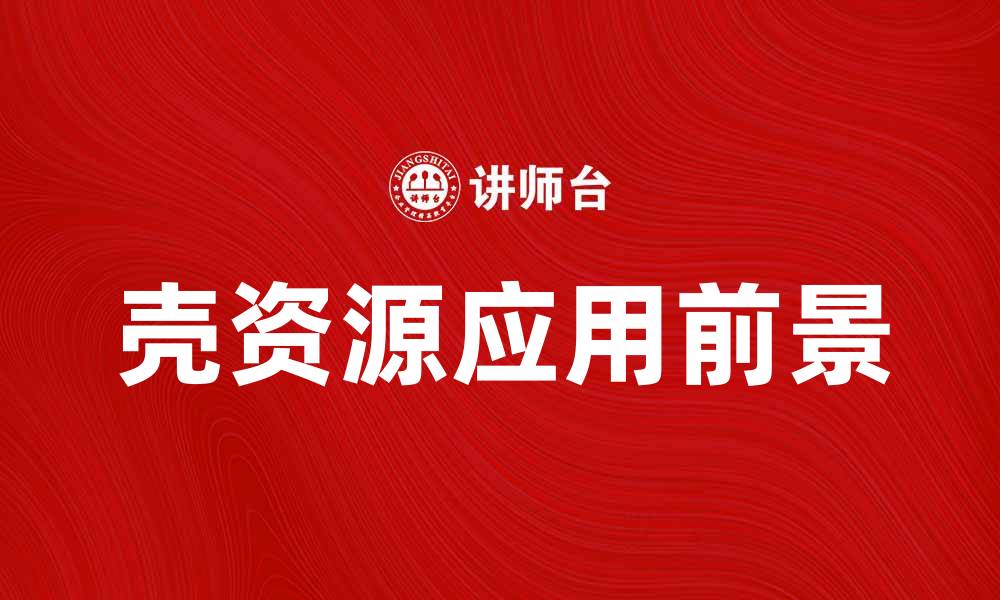 文章探索壳资源的价值与应用前景的缩略图
