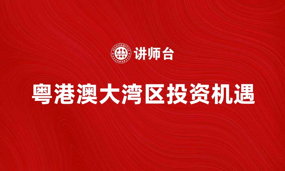文章探索粤港澳大湾区的经济发展与投资机遇的缩略图