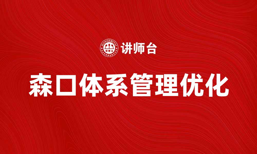 森口体系管理优化