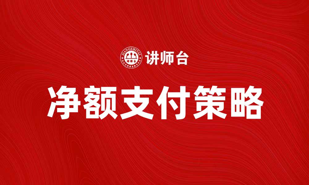 净额支付策略