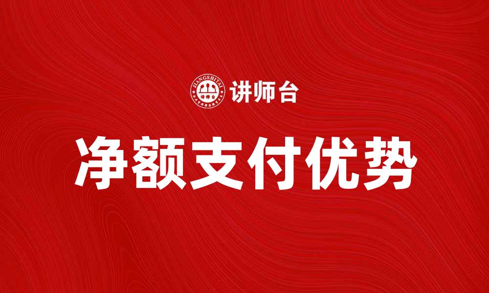 净额支付优势