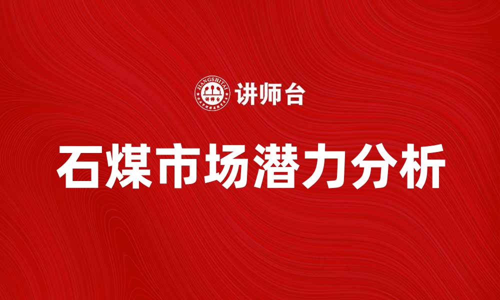 石煤市场潜力分析