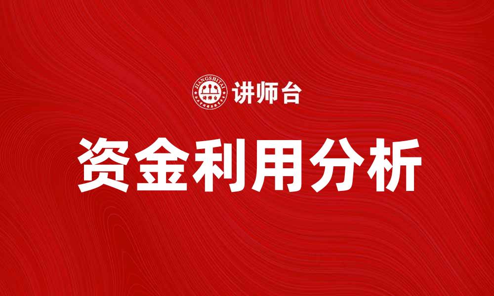 资金利用分析