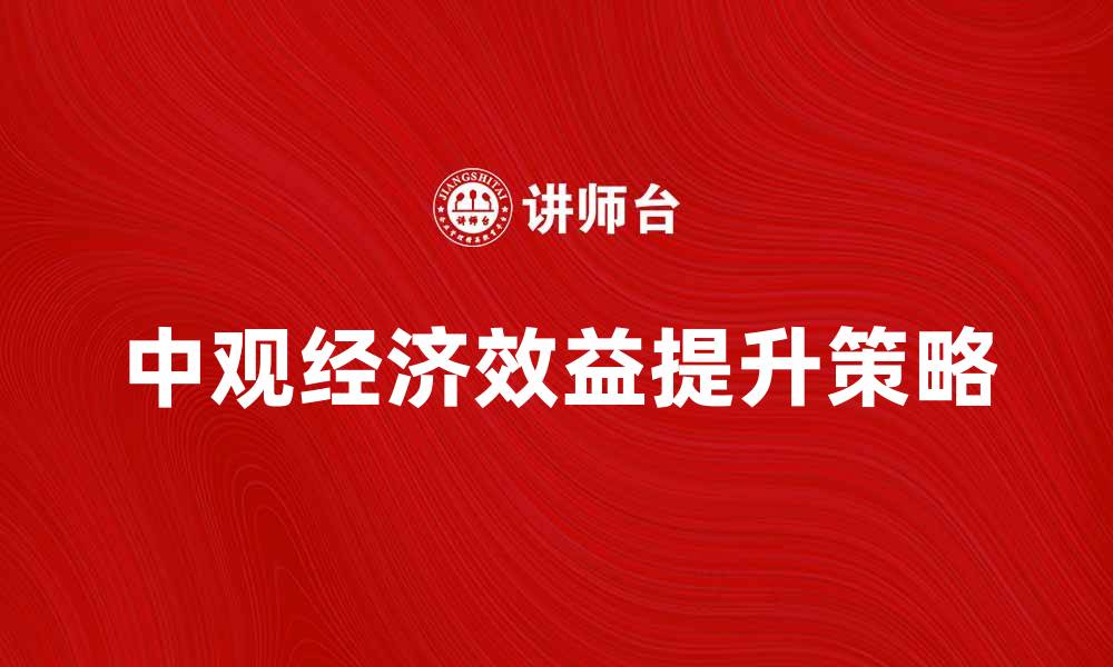 中观经济效益提升策略