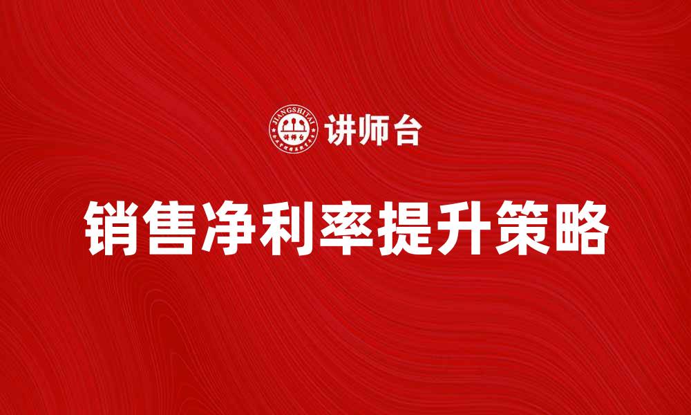 文章提升销售净利率的有效策略与实践分析的缩略图