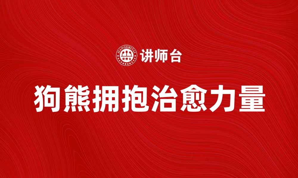 文章狗熊拥抱带来的温暖与治愈力量解析的缩略图