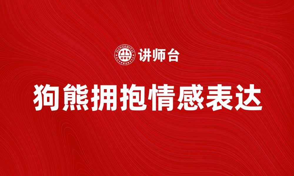 文章狗熊拥抱带来的温暖与感动，探索它的背后意义的缩略图