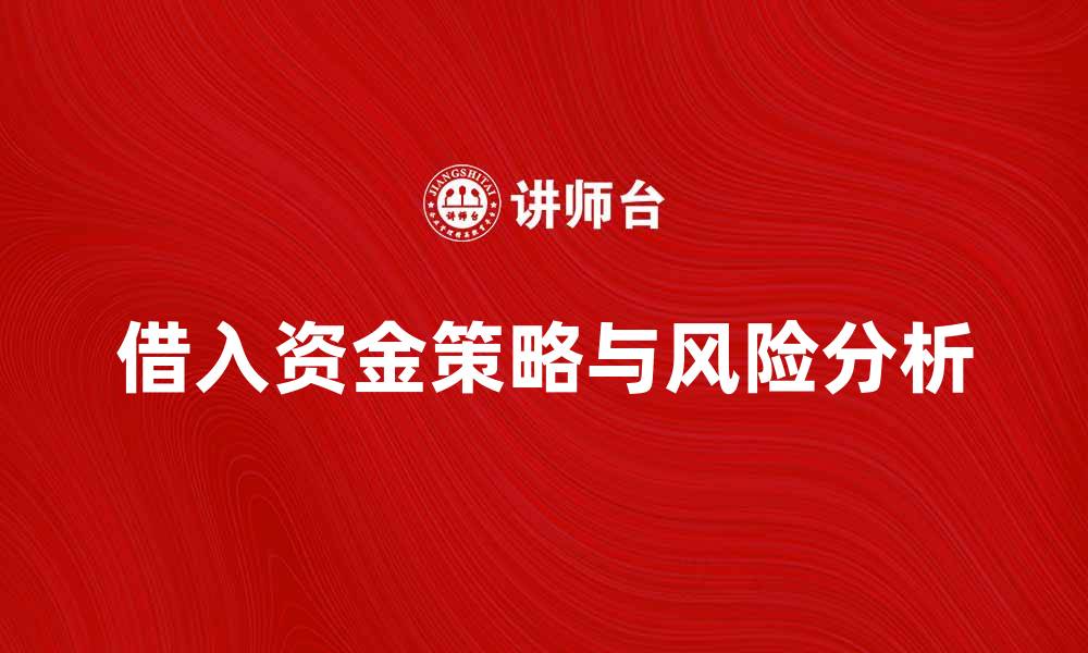 文章借入资金的最佳策略与风险分析指南的缩略图